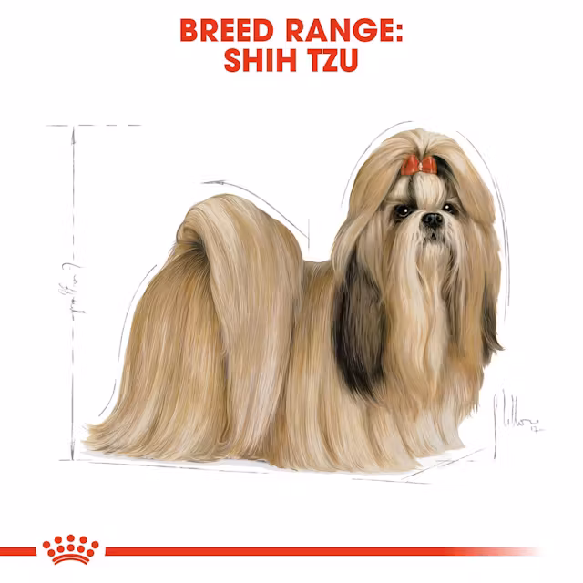 Royal Canin Shih Tzu Adult Dry Food view 2