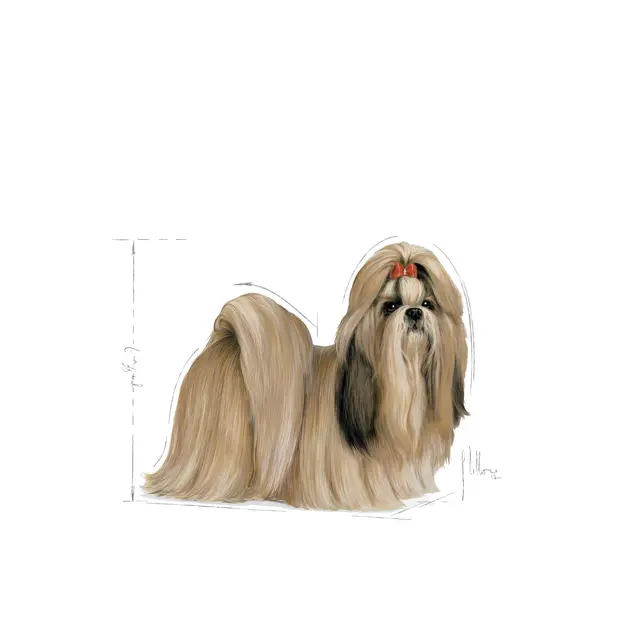 Royal Canin Shih Tzu Adult Dry Food view 4