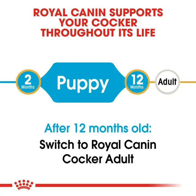 Royal Canin Cocker Puppy Dry Food view 3