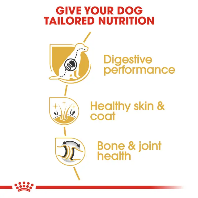 Royal Canin German Shepherd Adult Dry Food view 4