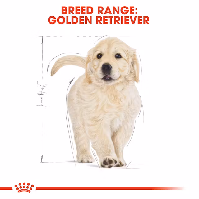 Royal Canin Golden Retriever Puppy Dry Food view 3