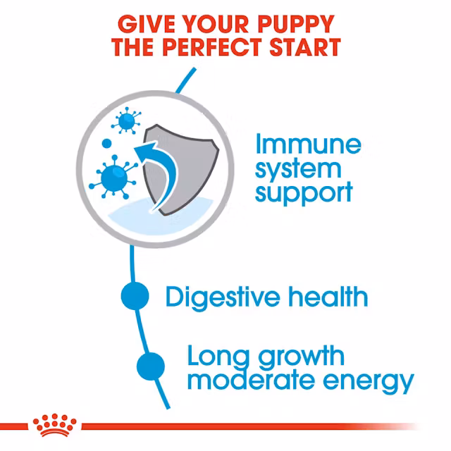 Royal Canin Maxi Puppy Dry Food view 4
