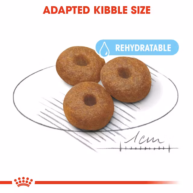 Royal Canin Maxi Starter Mother Baby Dog Dry Food view 3