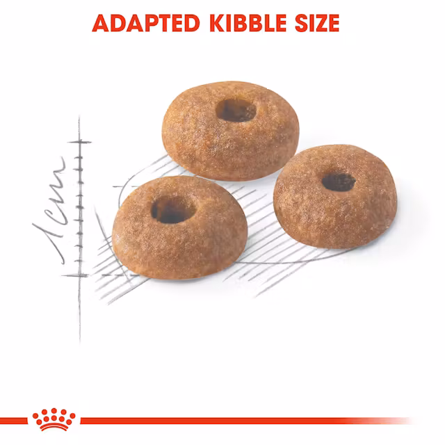 Royal Canin Regular Fit 32 Dry Food view 2