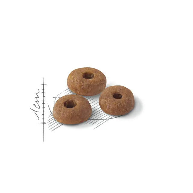 Royal Canin Regular Fit 32 Dry Food view 4