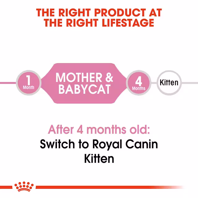Royal Canin Mother Baby Cat Dry Food view 2