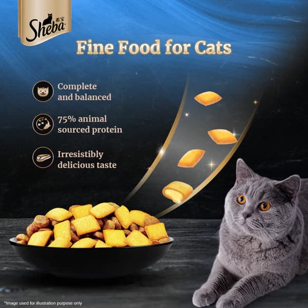 Sheba Cat Salmon Wet Food