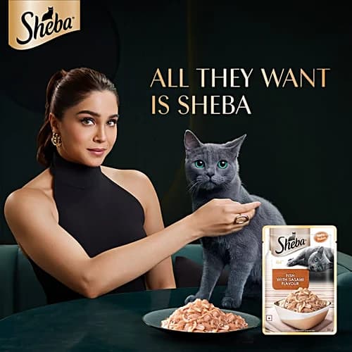 Sheba Fish Sasami Wet Food view 4