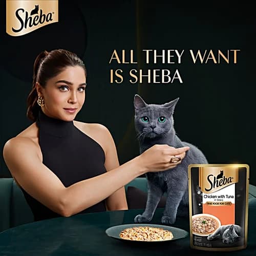 Sheba Tuna Chicken Wet Food view 4