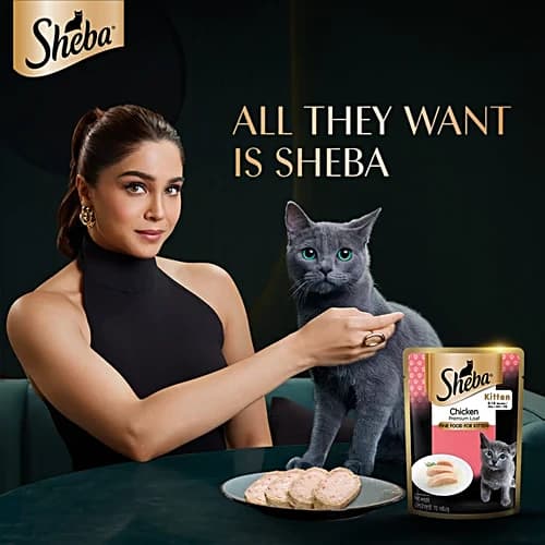 Sheba Chicken Kitten Wet Food view 4