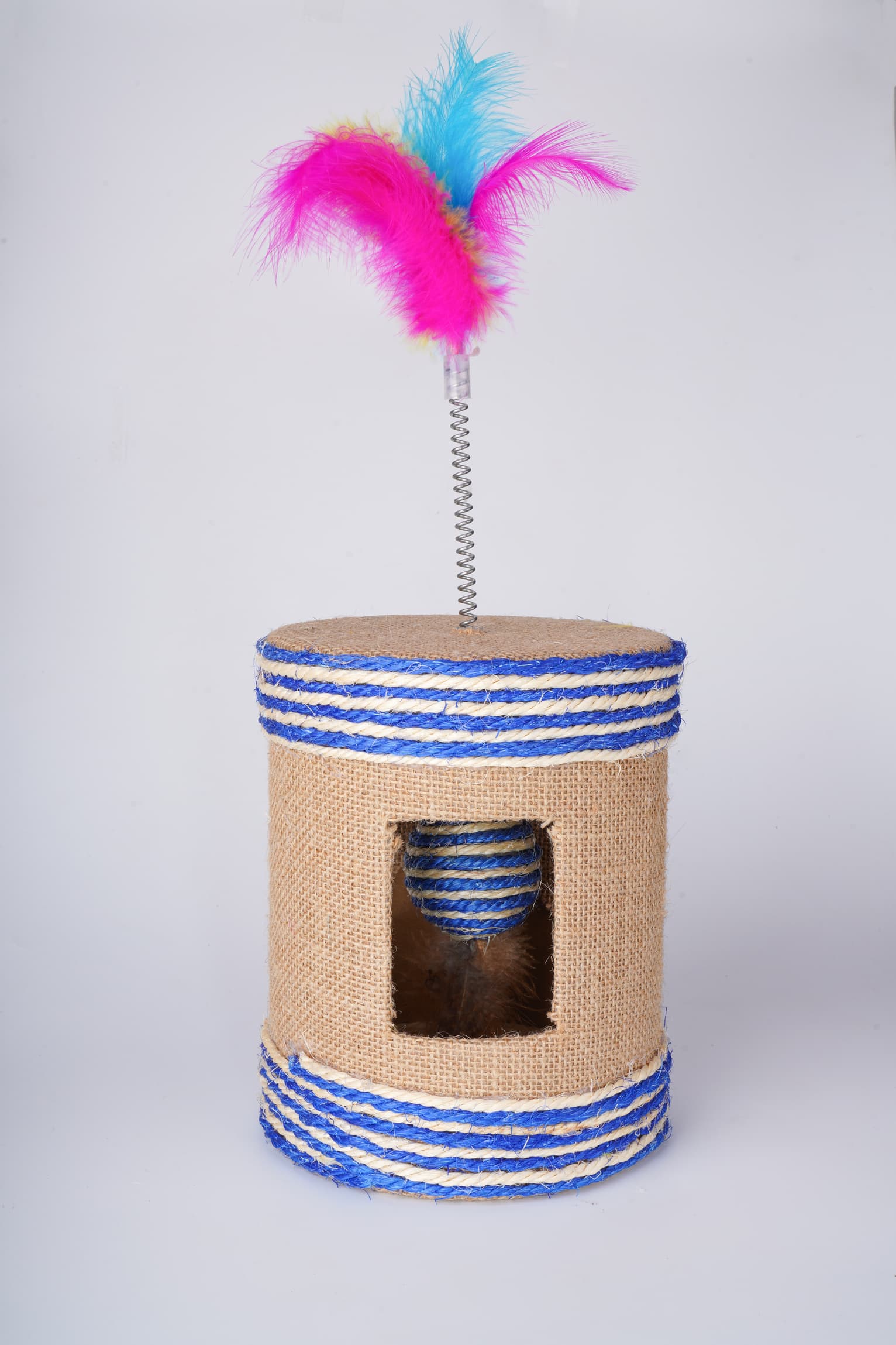 Companion Needs Rainbow Fur Scratcher Cat Toy