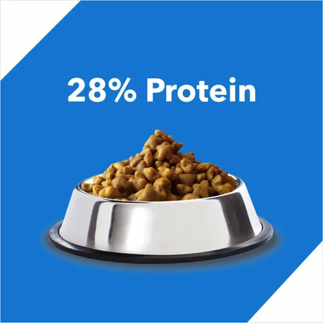 Drools Adult Ocean Fish Dry Food view 3