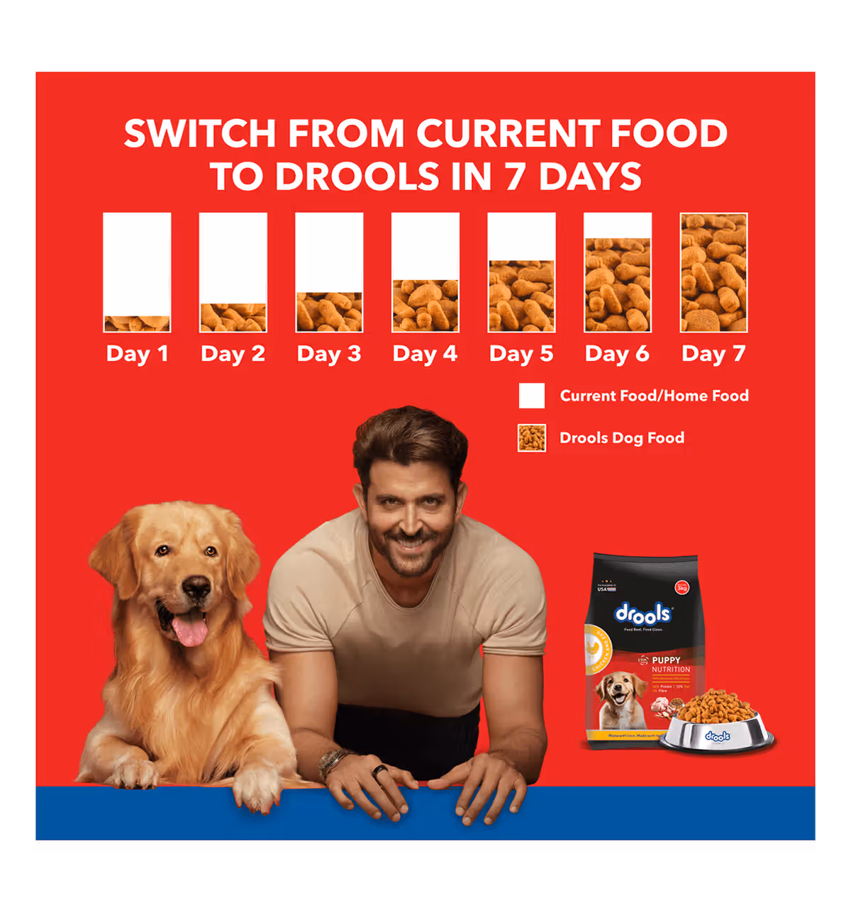 Drools Puppy Chicken Egg Dry Food view 3