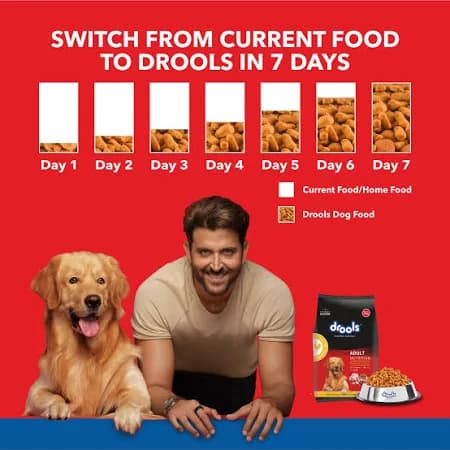 Drools Adult Chicken Egg Dry Food view 4