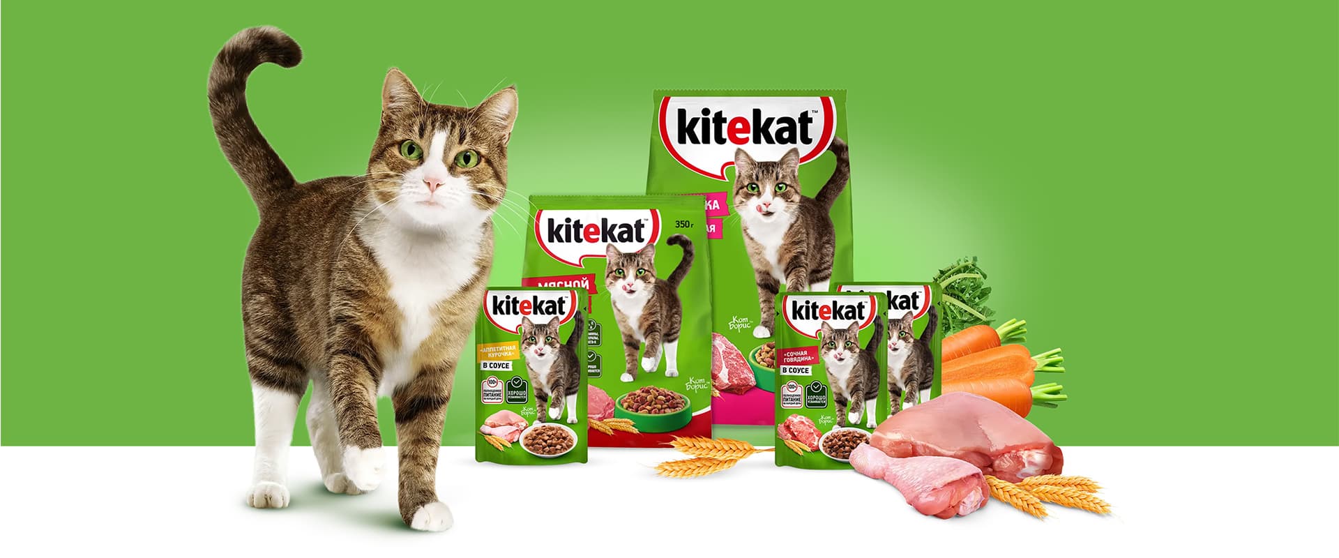 Kitekat Cat Food