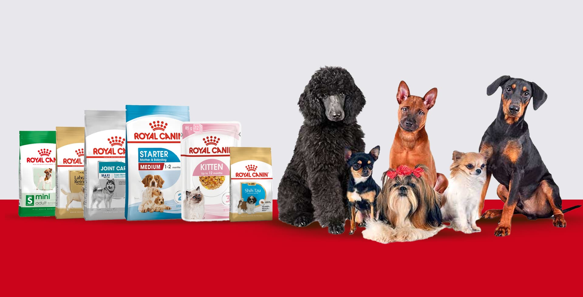 Royal Canin Pet Food