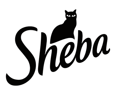 Sheba banner