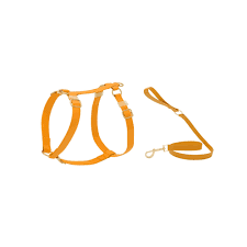Royal Pet Needs Mesh Body Belt Set Leash