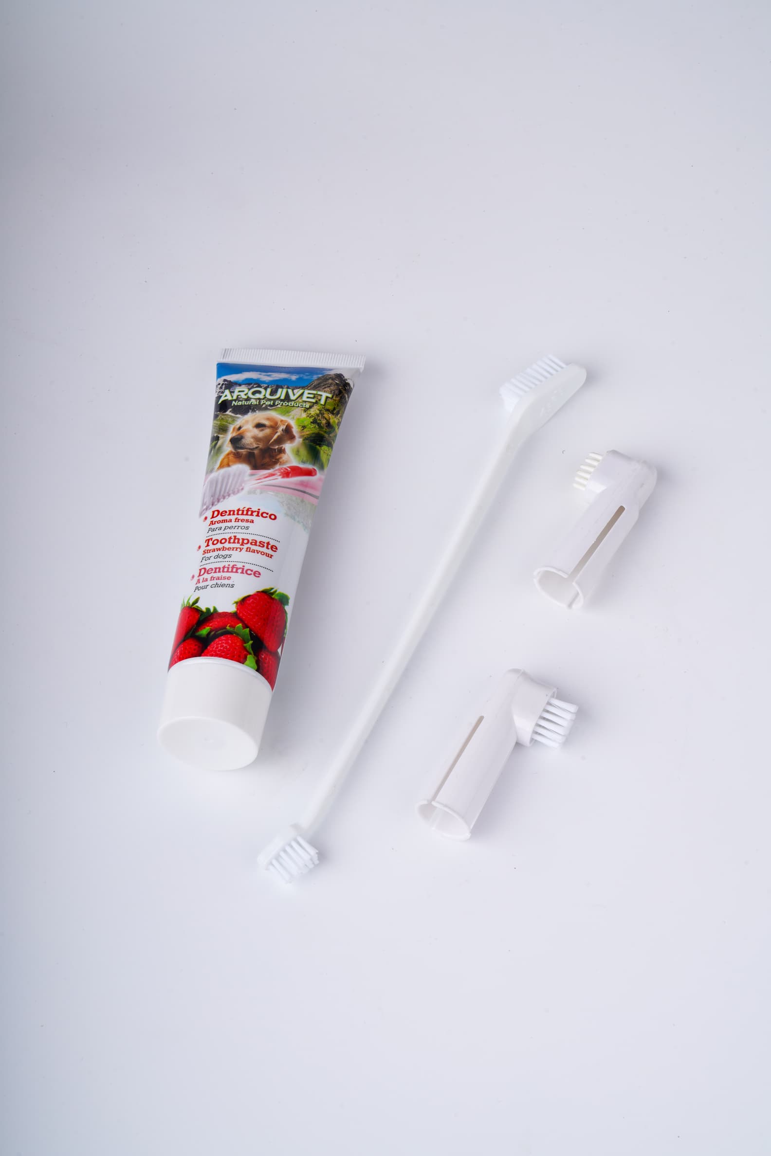 Companion Needs Toothbrush Set Paste Dental Care
