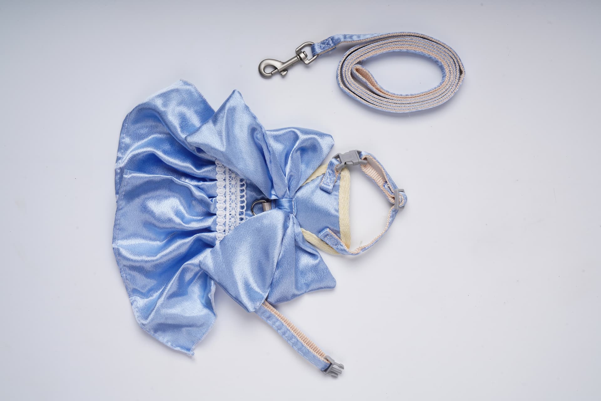 Companion Needs Frock Set Leash