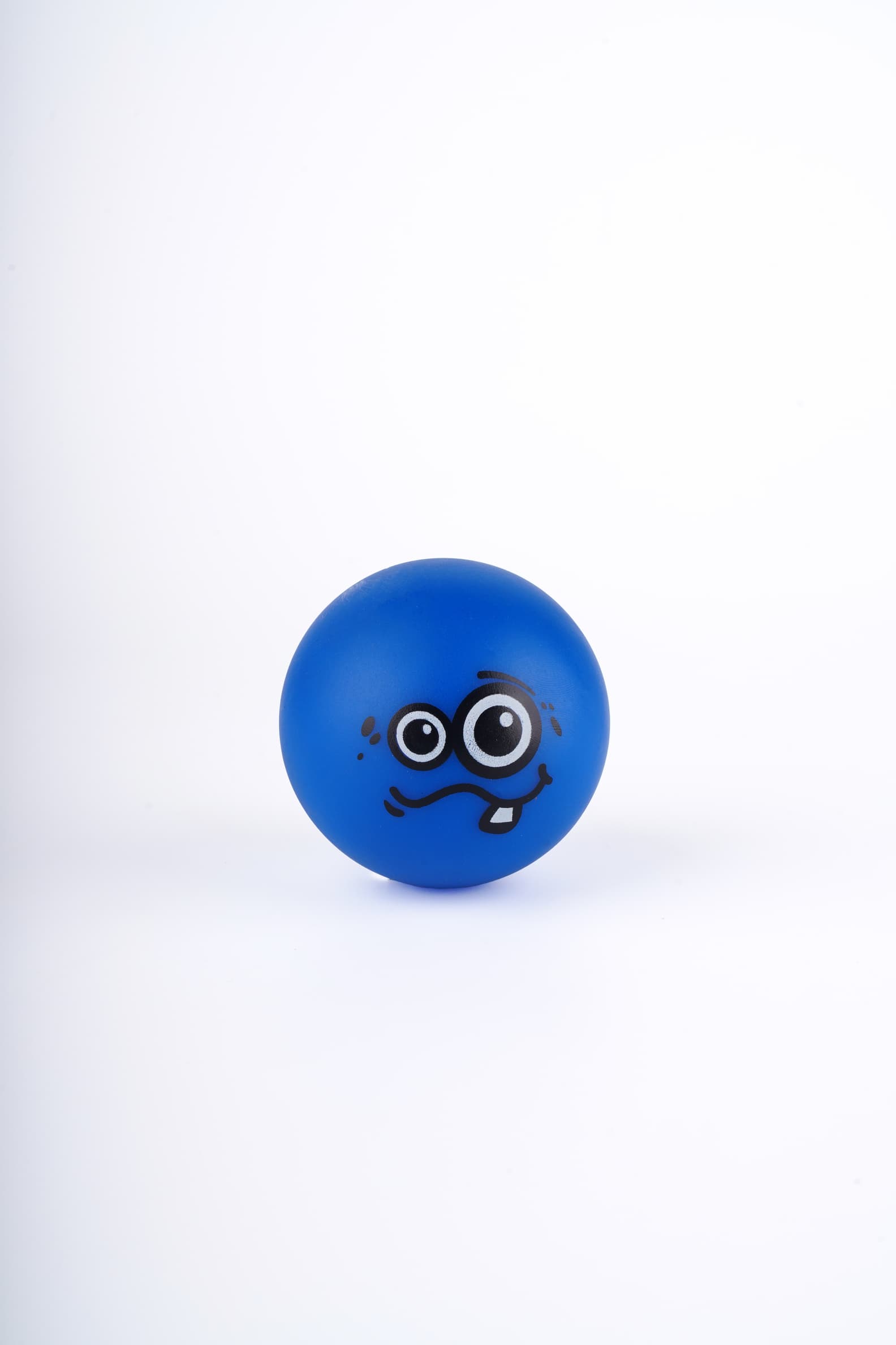 Companion Needs Dog Toy
