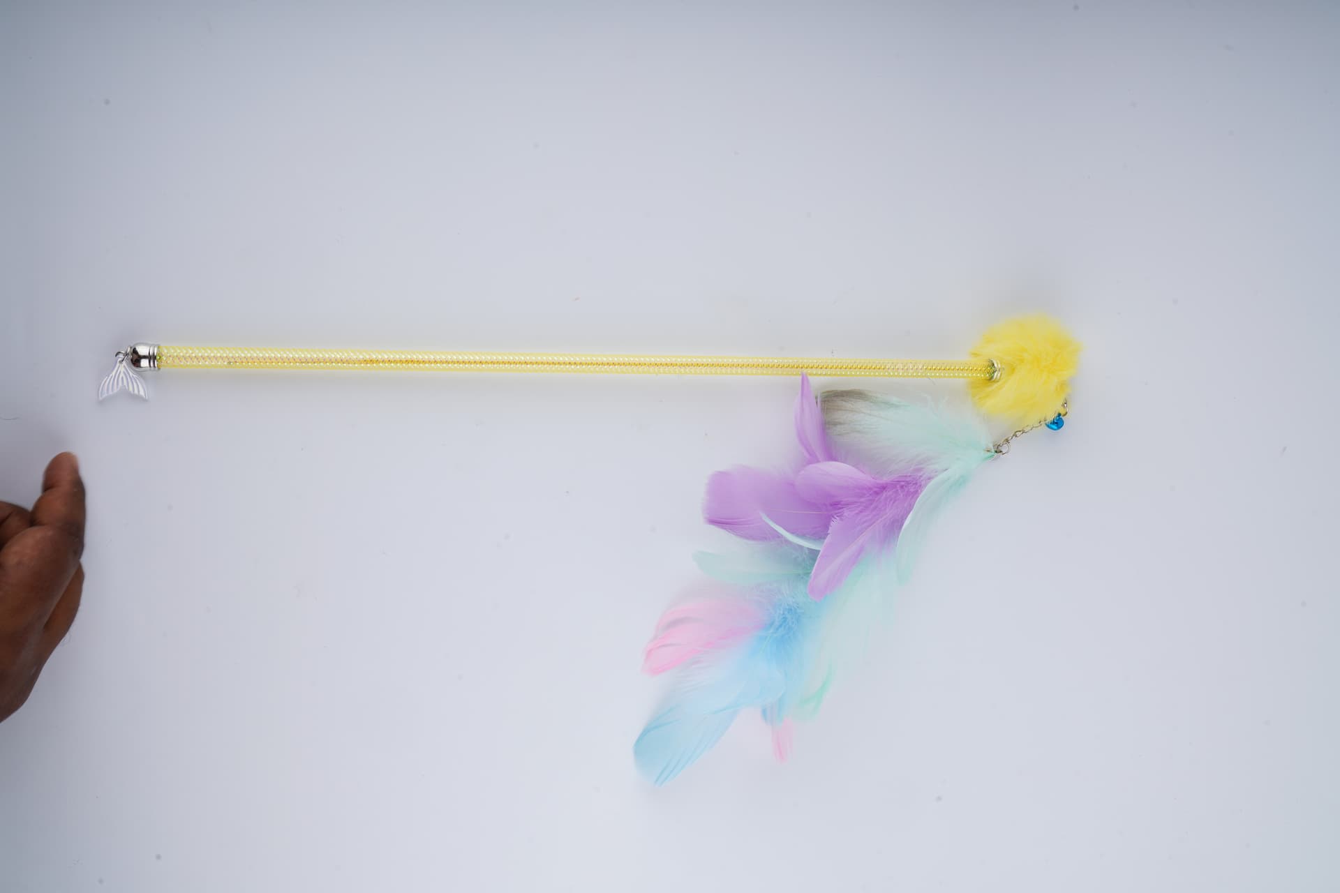 Companion Needs Cat Stick Full Bird Feather Dog Treats