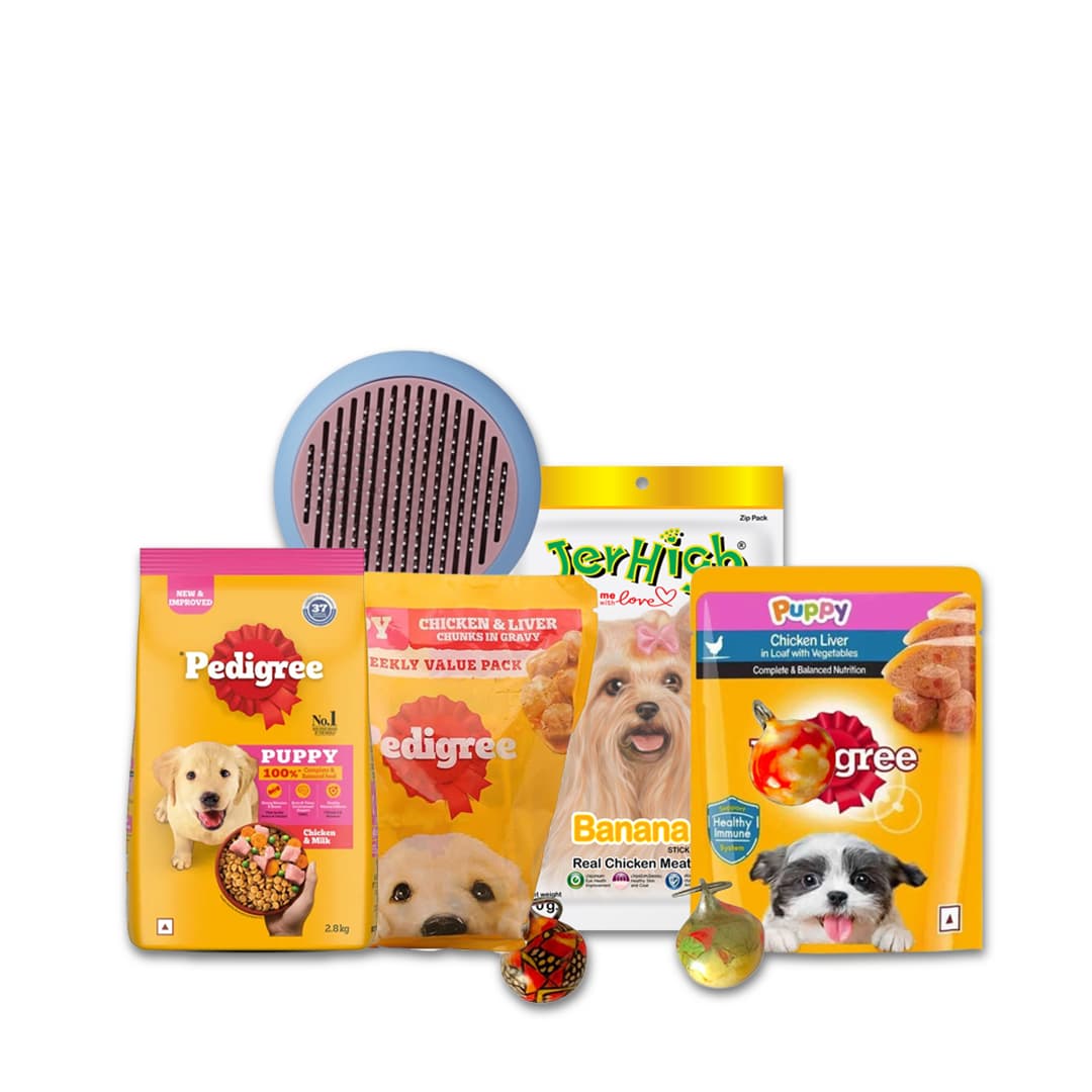 Pedigree Puppy Starter Bundle