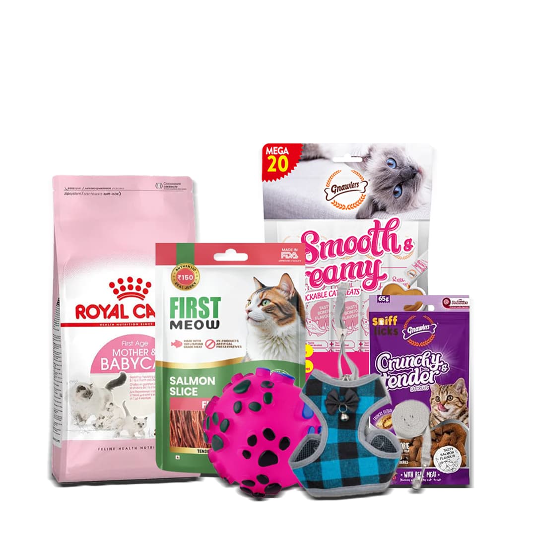 Mother Baby Cat Starter Collection Bundle