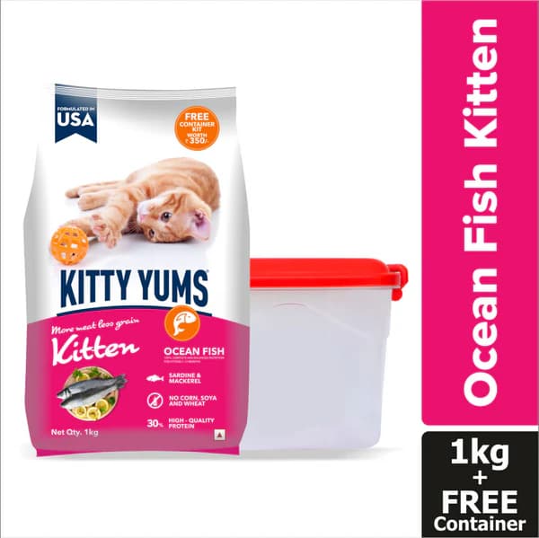 Kitty Yums Ocean Fish Kitten Cat Dry Food