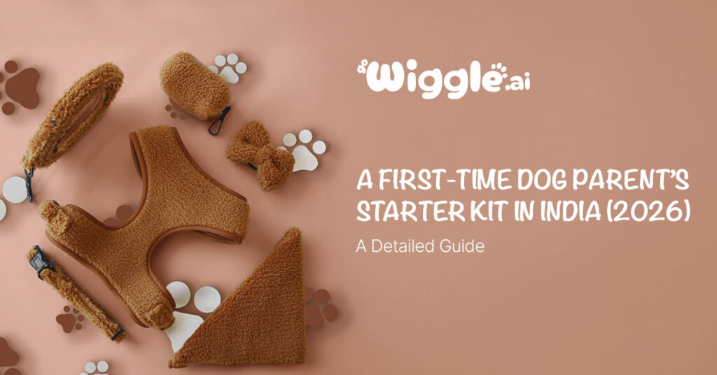 Dog Parent’s Starter Guide