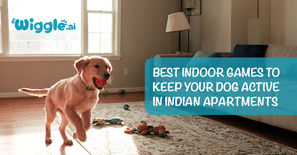 Keep Your Dog Active