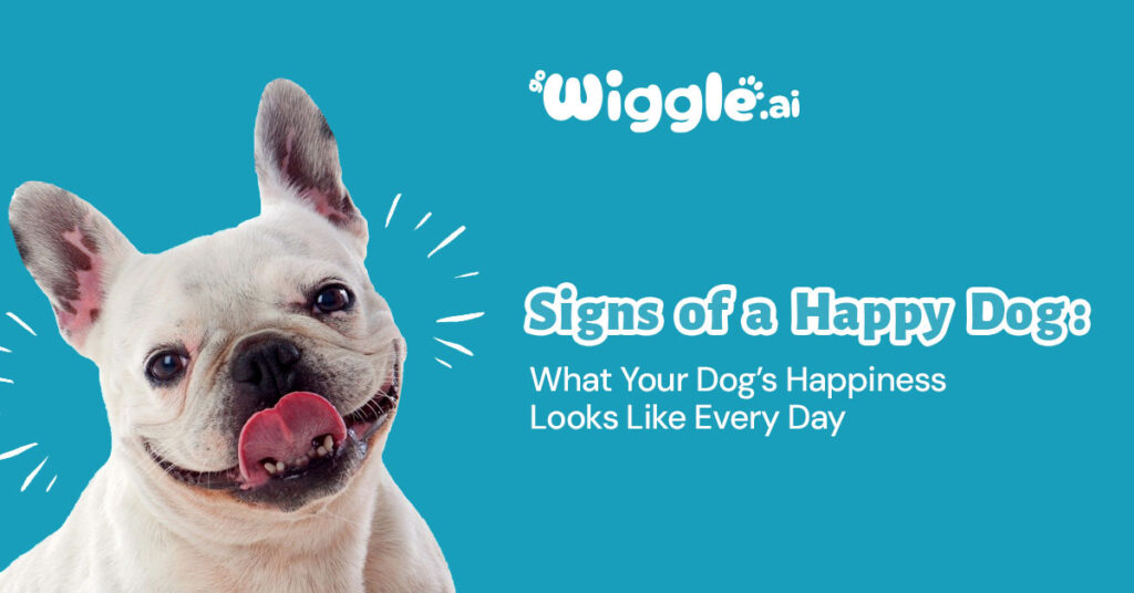 Signs of a Happy Dog