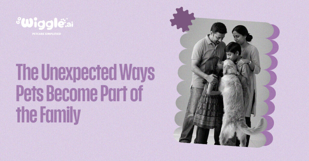 Ways Pets Become Part of the Family