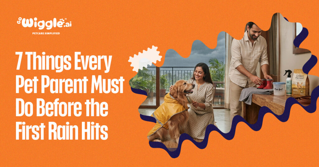 7 Things every pet parents should do before rain hits