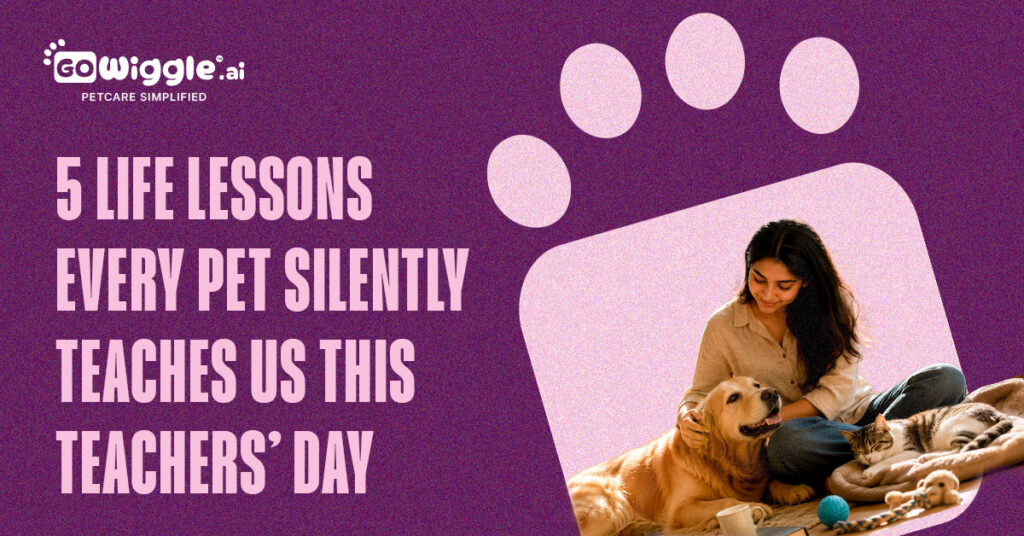 5 Life Lessons Pets Teach Us This Teachers’ Day | Gowiggle.ai