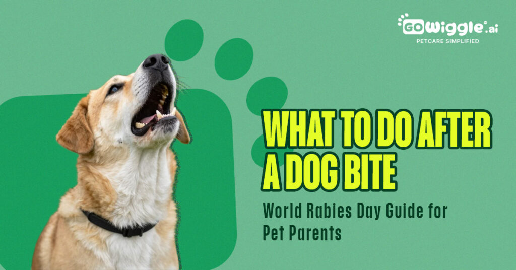 What to Do After a Dog Bite: Rabies Guide