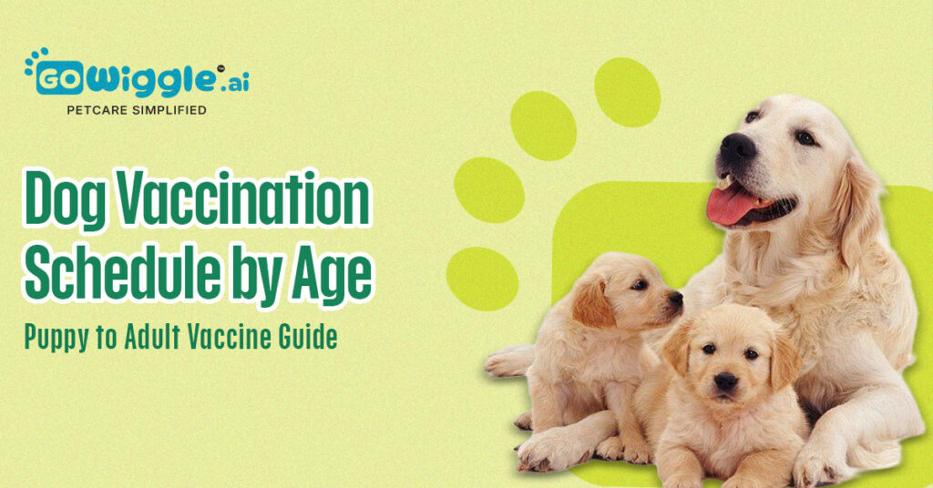 Dog Vaccination Schedule by Age: Puppy to Adult