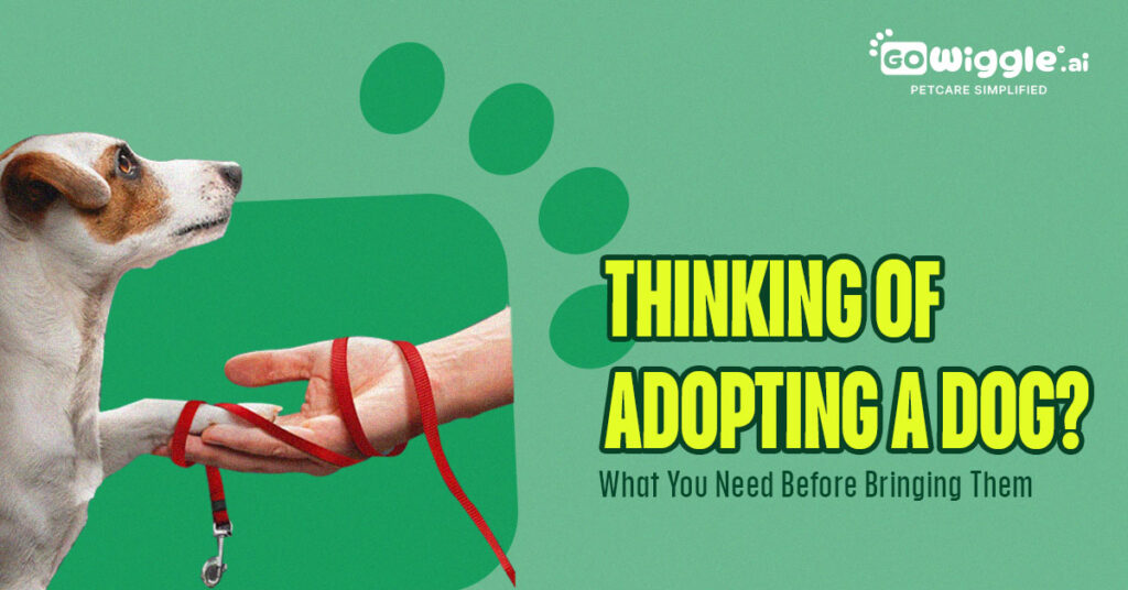 Dog Adoption Checklist: What You Need Before Adoption