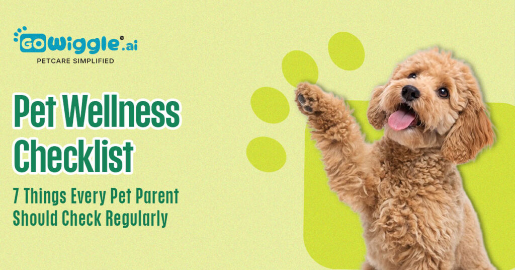 Pet Wellness Checklist 2026: 7 Essential Checks